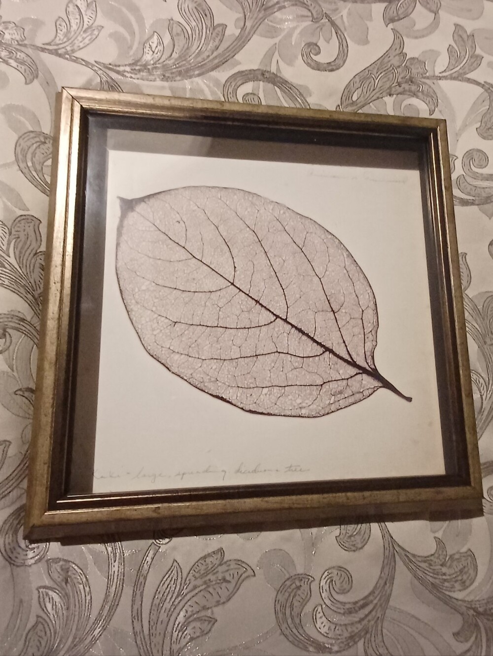 EUC Kohl's Leaf Print Framed Picture